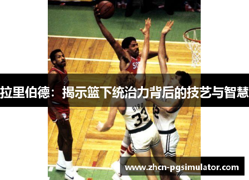 拉里伯德：揭示篮下统治力背后的技艺与智慧