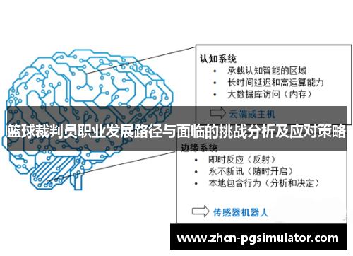 篮球裁判员职业发展路径与面临的挑战分析及应对策略
