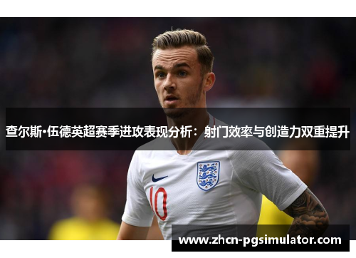 查尔斯·伍德英超赛季进攻表现分析：射门效率与创造力双重提升