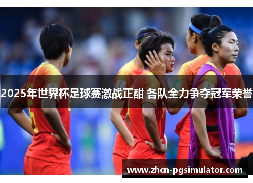 2025年世界杯足球赛激战正酣 各队全力争夺冠军荣誉