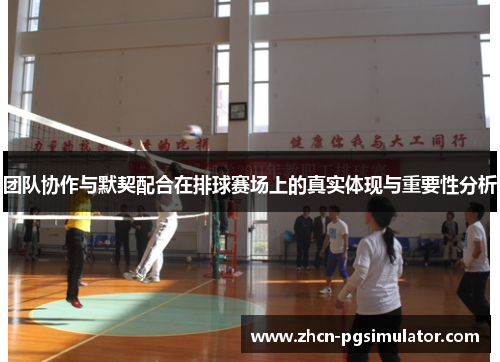 团队协作与默契配合在排球赛场上的真实体现与重要性分析 团队协作与默契配合在排球赛场上的真实体现与重要性分析