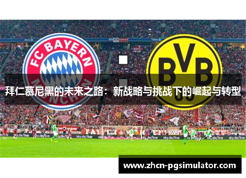 拜仁慕尼黑的未来之路：新战略与挑战下的崛起与转型