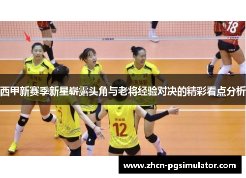 西甲新赛季新星崭露头角与老将经验对决的精彩看点分析