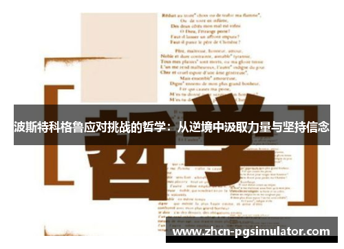 波斯特科格鲁应对挑战的哲学：从逆境中汲取力量与坚持信念