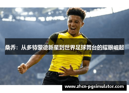 桑乔：从多特蒙德新星到世界足球舞台的耀眼崛起