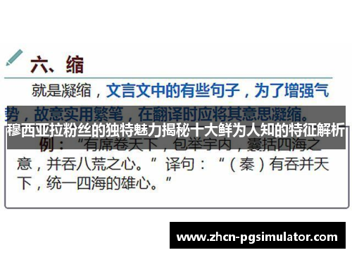 穆西亚拉粉丝的独特魅力揭秘十大鲜为人知的特征解析