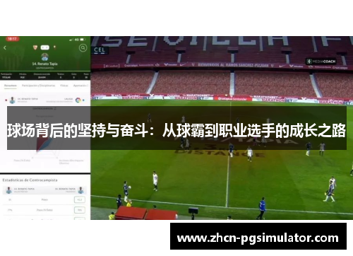 球场背后的坚持与奋斗：从球霸到职业选手的成长之路