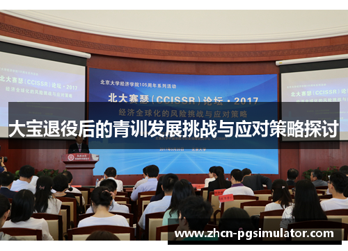 大宝退役后的青训发展挑战与应对策略探讨