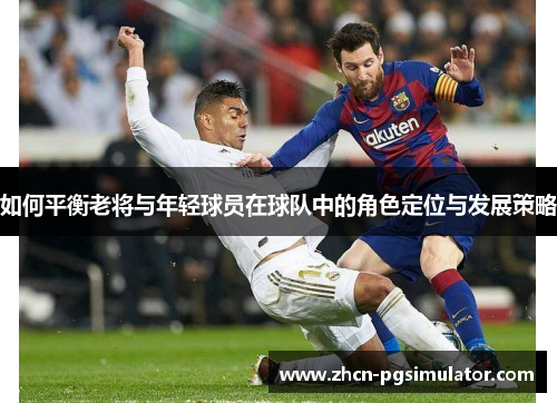 如何平衡老将与年轻球员在球队中的角色定位与发展策略