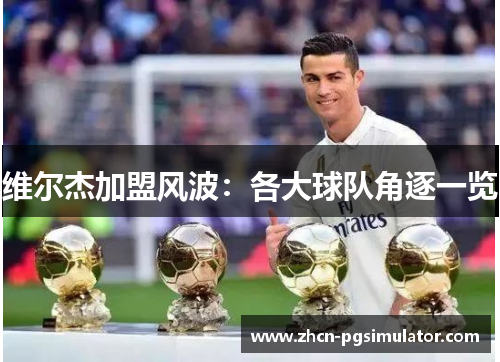 维尔杰加盟风波:各大球队角逐一览 维尔杰加盟风波:各大球队角逐一览