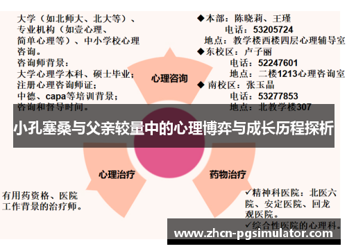 小孔塞桑与父亲较量中的心理博弈与成长历程探析