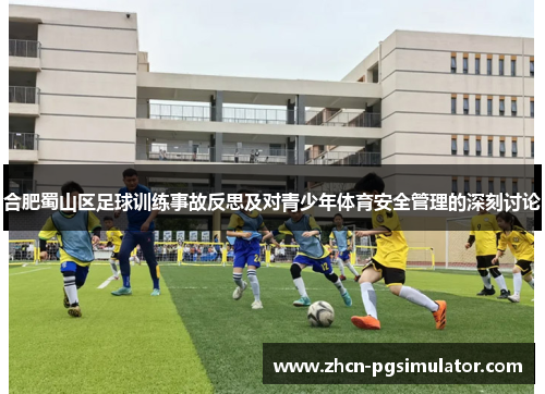 合肥蜀山区足球训练事故反思及对青少年体育安全管理的深刻讨论