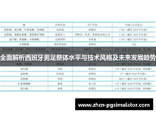 全面解析西班牙男足整体水平与技术风格及未来发展趋势