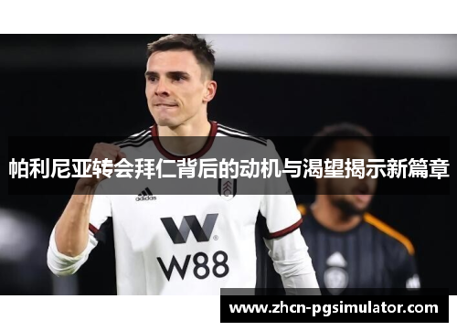 帕利尼亚转会拜仁背后的动机与渴望揭示新篇章